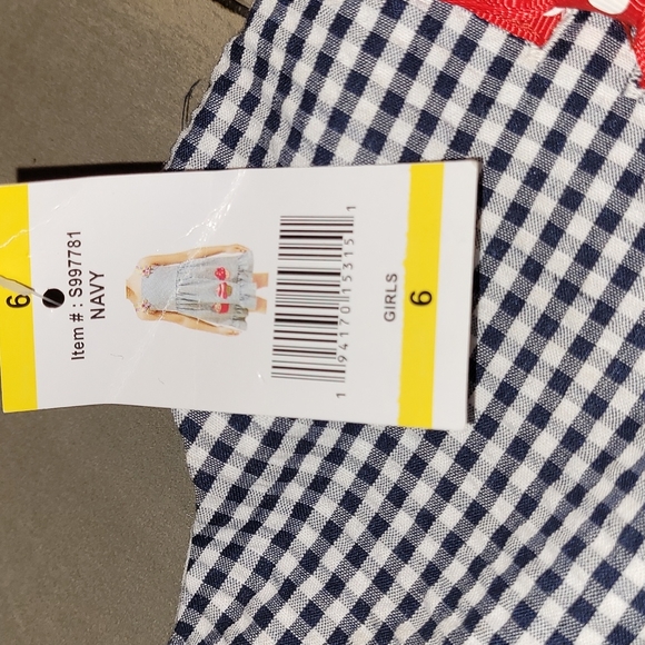 NWT Emily Rose Checkered Dress With Embroidered Flower and Lady Bugs Size 6 - Picture 4 of 8